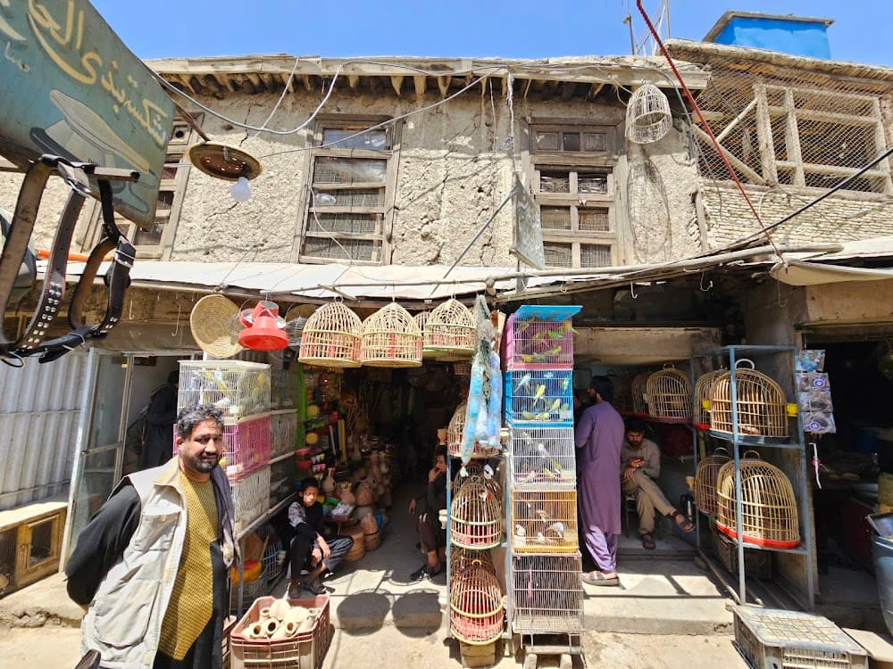 Bird Market
