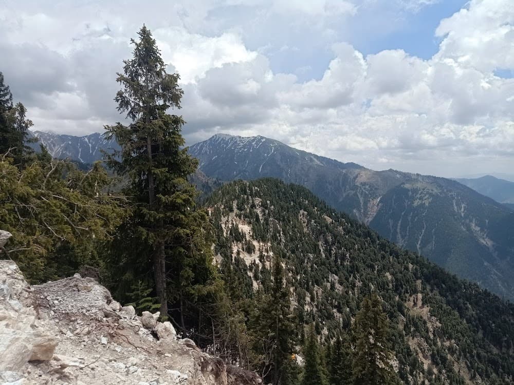 Tora Bora