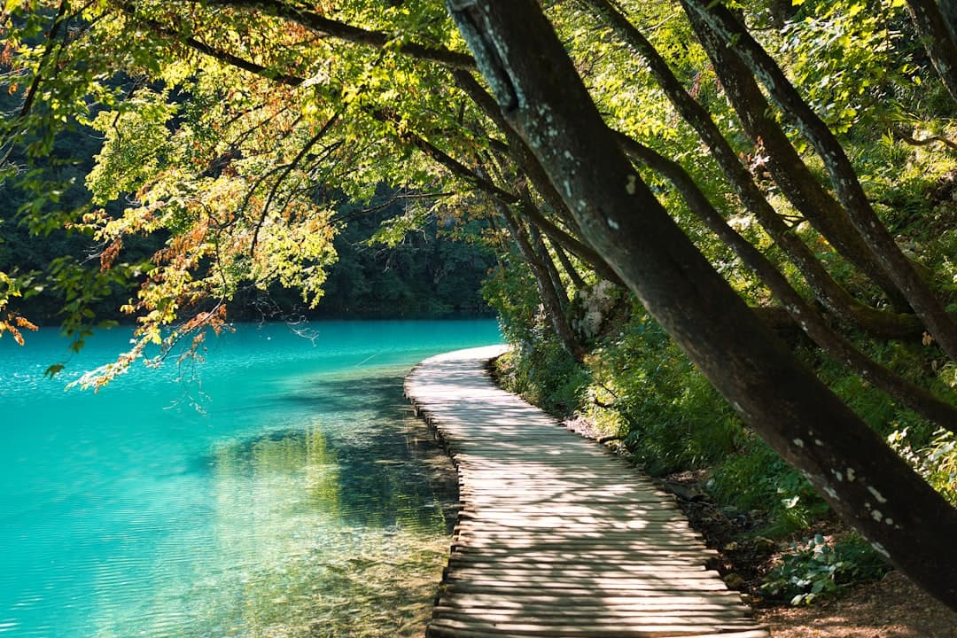 Que faire en Croatie : les 15 incontournables pour un voyage inoubliable en 2026